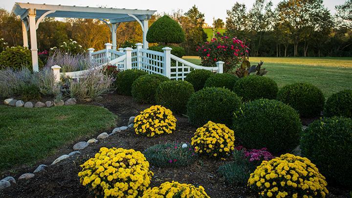 Rabbit Creek Bed & Breakfast Versailles 外观 照片